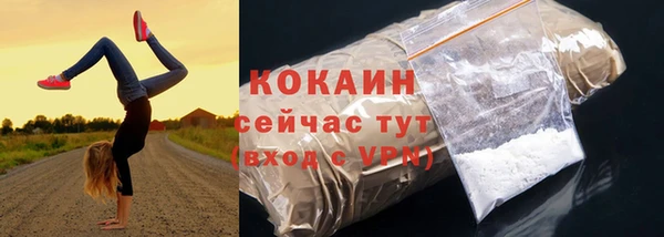 СК Бронницы