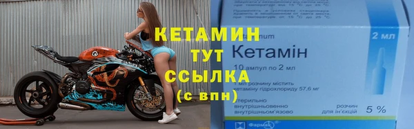 амф Снежногорск