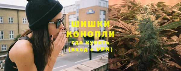амф Снежногорск