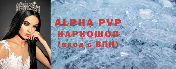 СК Бронницы