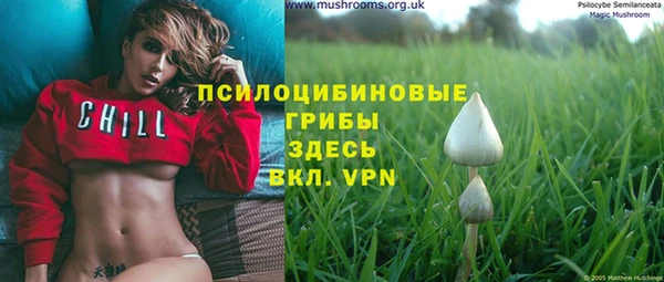 бошки Снежинск