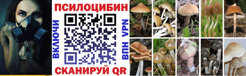 Галлюциногенные грибы Psilocybine cubensis  Лобня 